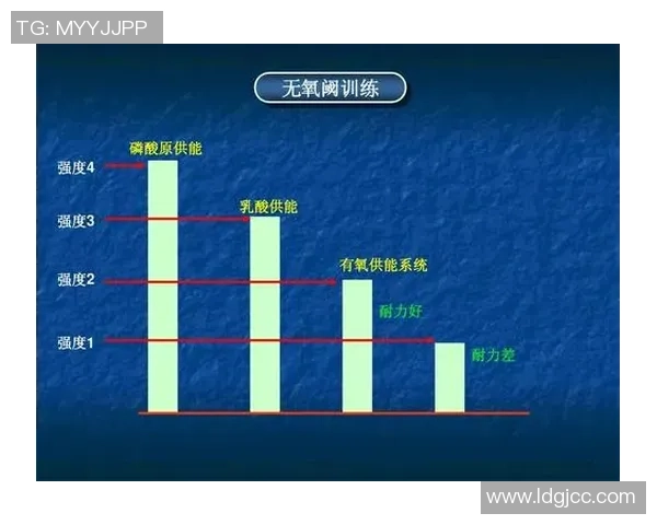 深圳羽毛球队耐力对比深度分析与训练策略探讨