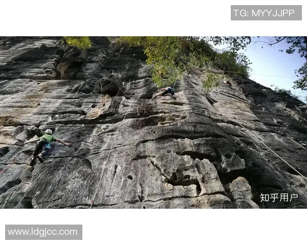 王强独家揭秘极限运动的技巧与心得分享助你突破自我极限